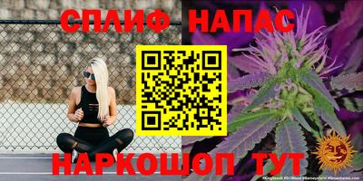 гашик Гусев