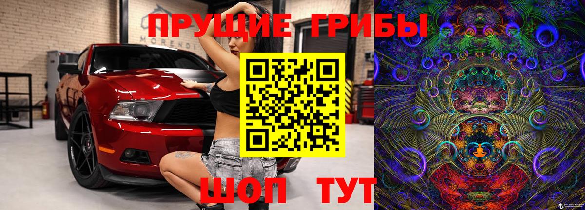 Псилоцибиновые грибы прущие грибы Орёл