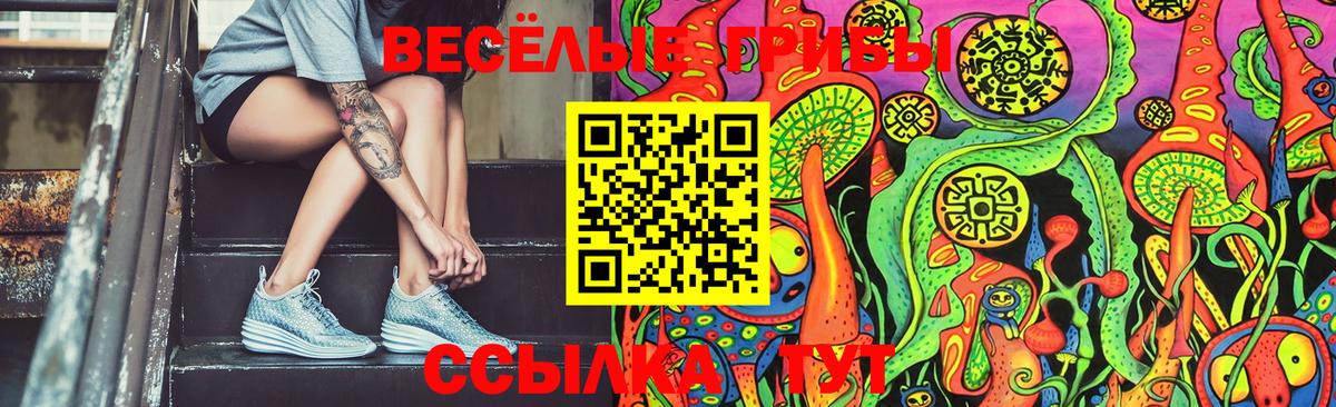 Псилоцибиновые грибы Psilocybe  Вход с VPN  Псилоцибиновые грибы Cubensis  Орёл 